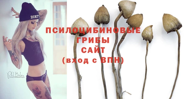 метамфетамин Осташков