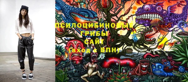a pvp Осинники