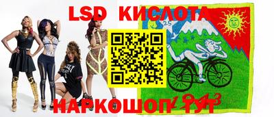 стафф Камышлов