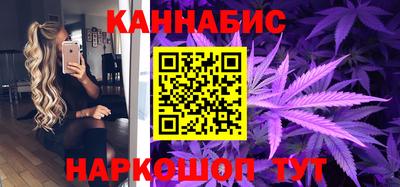 стафф Камышлов