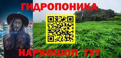 стафф Камышлов