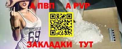 стафф Камышлов