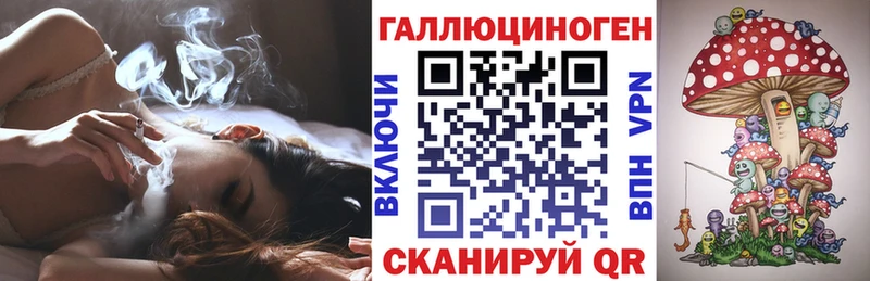 Галлюциногенные грибы Cubensis  Минусинск 
