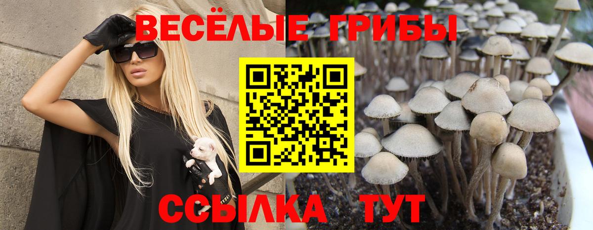 Минусинск  Псилоцибиновые грибы Psilocybe  Галлюциногенные грибы мухоморы  Вход с VPN 